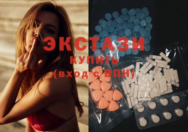 стаф Дмитров