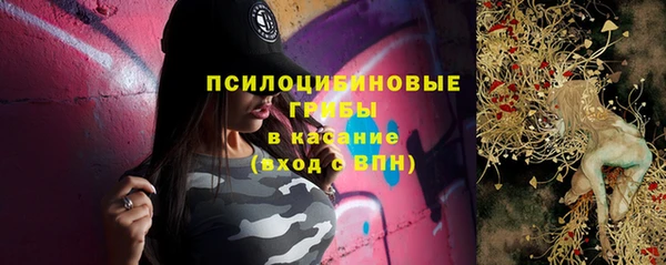 эйфоретик Алзамай