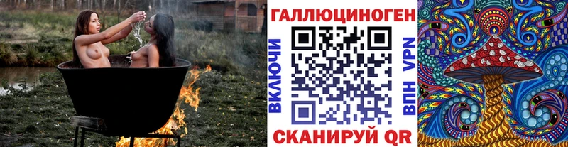 Галлюциногенные грибы Psilocybe  мега ссылки  Балей 